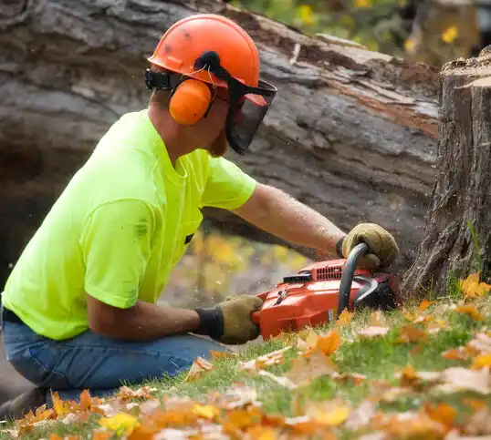 tree services Cornelius